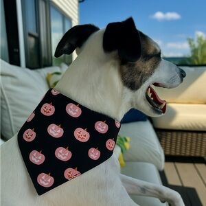 Reversible Scrunchi Black Pink Pumpkin & Skeletons Dog Bandanas